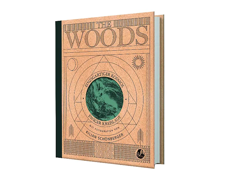 THE WOODS_Cover_3D